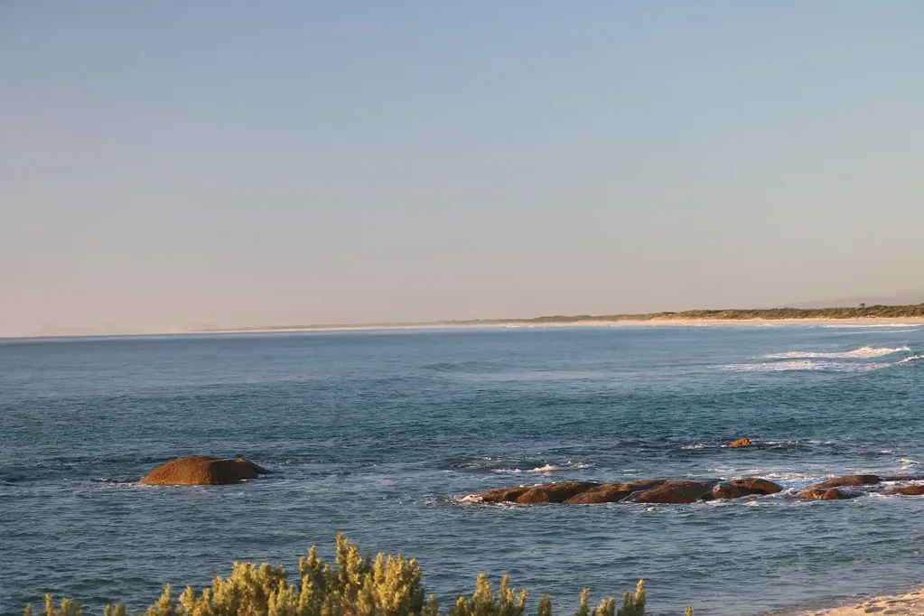 Palana  A Nature Lovers Paradise on the North East River Estuary