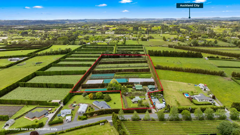 Kumeu Subdivisible, SunGold kiwifruit and two homes