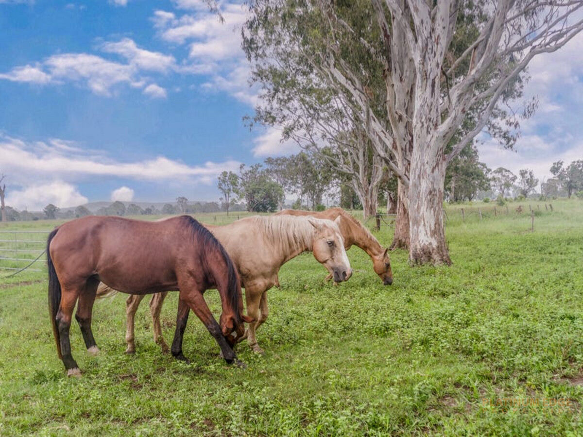 185 HALL RD, WOODHILL QLD 4285, 0 habitaciones, 0 baños, House