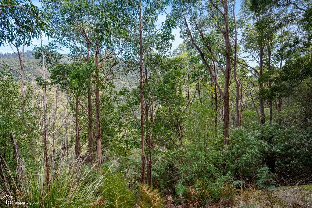 Judbury 130 Acres of Tasmanian Bushland with Privacy and Scale