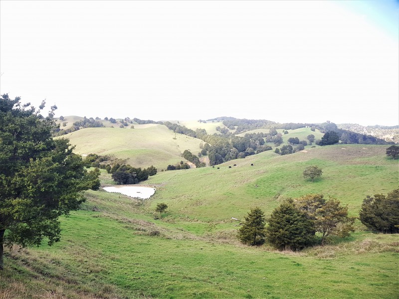 562 Arcadia Road, Mareretu, Kaipara, 0房, 1浴