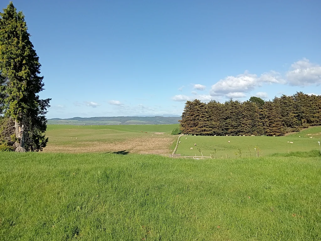 55 Otahu-Eastern Bush Road, Eastern Bush, Southland
