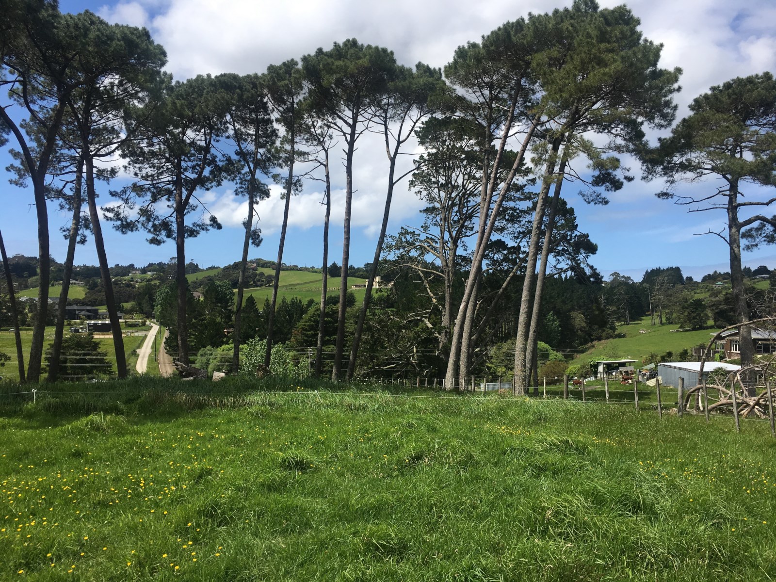 Mahoenui Valley Road, Coatesville, Auckland - Rodney, 0 Bedrooms, 0 Bathrooms