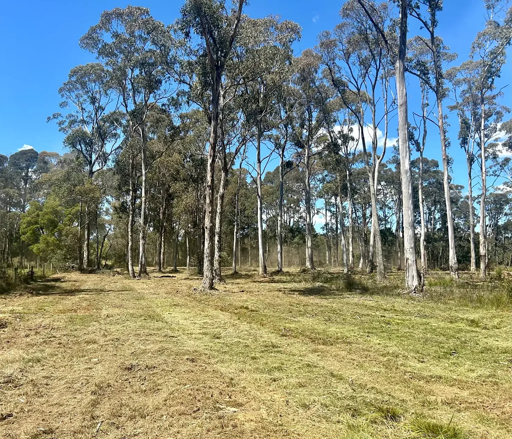 Trentham Build your Dream Home On....
0ver 7 Acres of Residential Land.