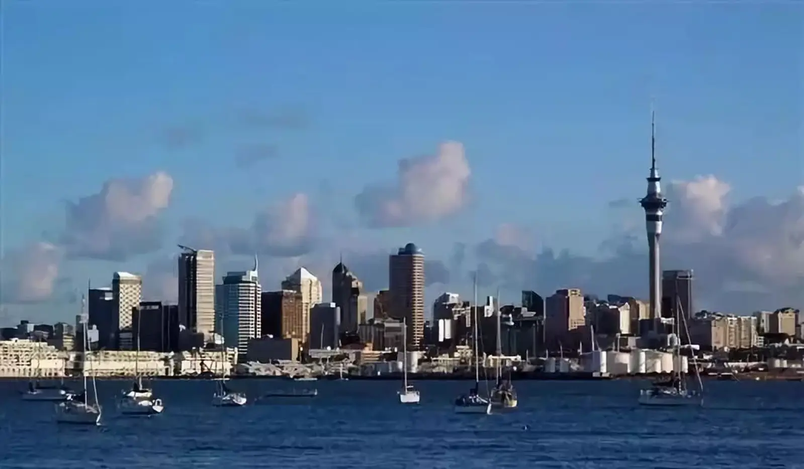 来自不同领域身居新西兰的朋友亲身经历分享:移民新西兰到底值不值!