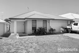 3 Kardan Loop, Falcon