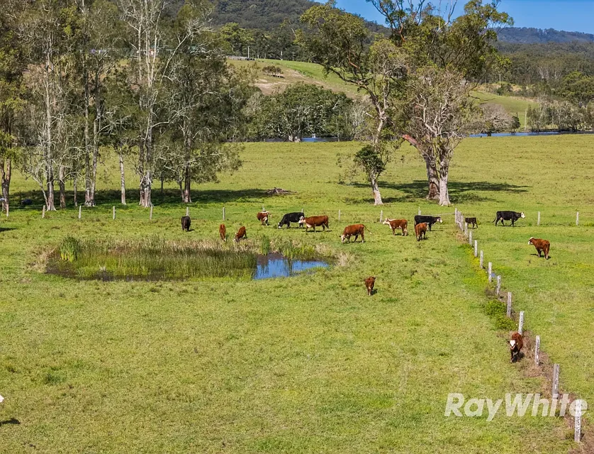 19 Kestevens Road, Bulahdelah, Hunter, 5 habitaciones, 2 baños, Lifestyle Property