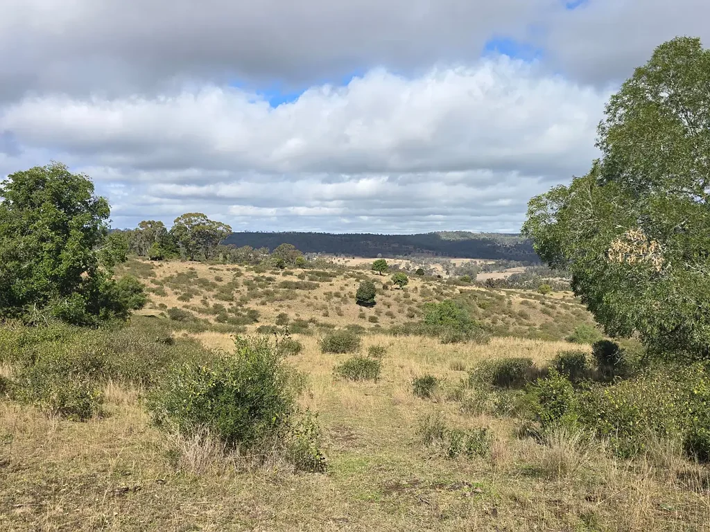 Thornville Quality Dirt, Great Views - Perfect Rural Lifestyle Opportunity!
