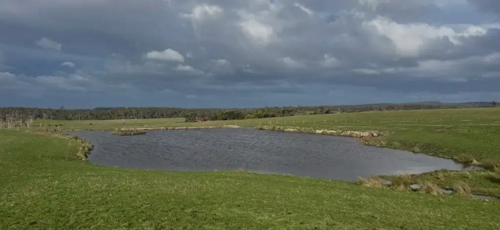 Gladstone  "Musselroe Park"