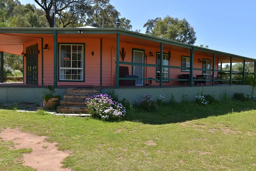 Coonabarabran Established Olive Grove offers Lifestyle and Income