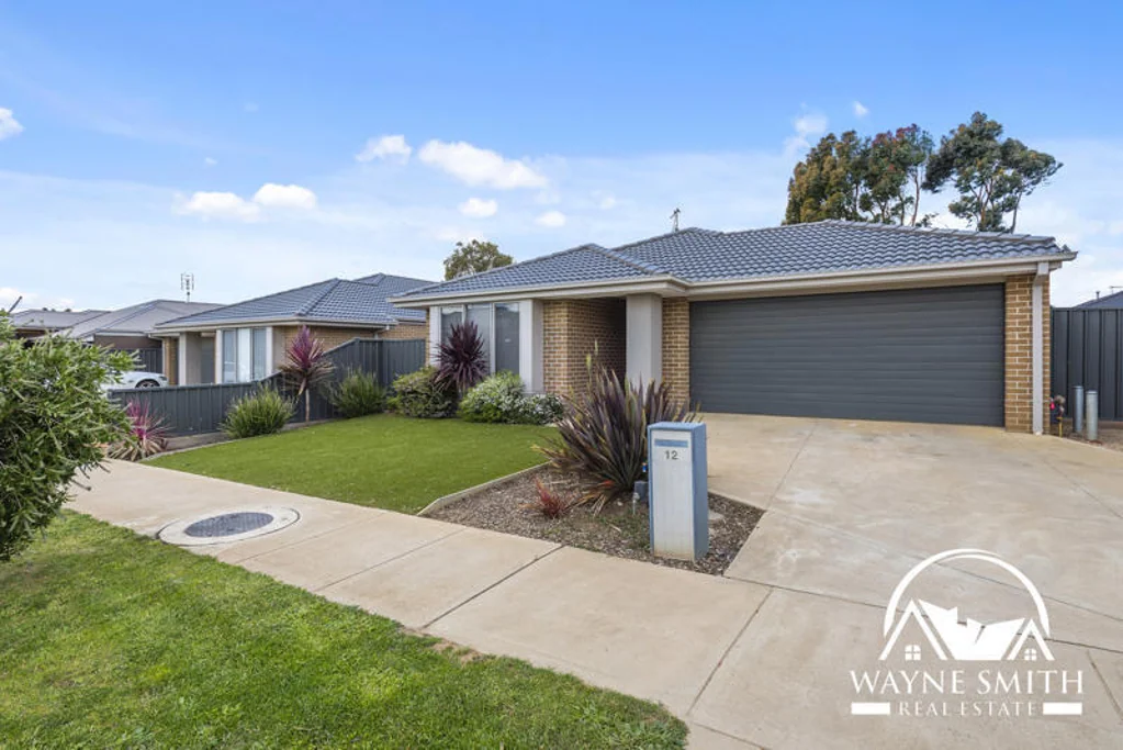 12 Hanlon Street, Kilmore, VIC 3764