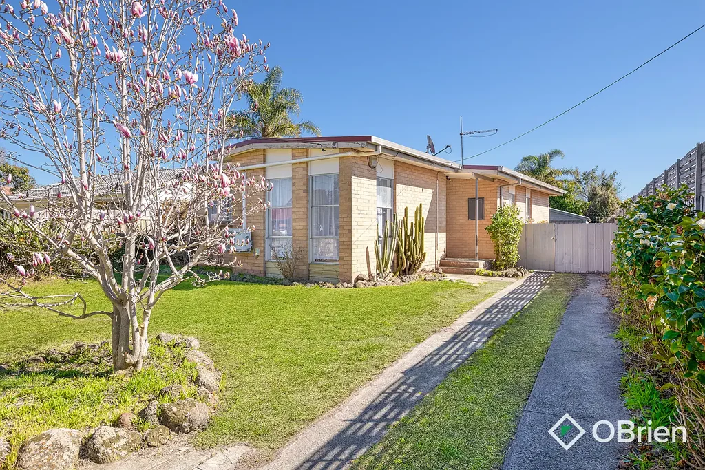 Frankston North 3ਬੈੱਡਰੂਮ Renovated Family Home in a Quiet Court Setting