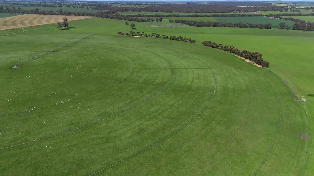 Mundulla West Genuine Mundulla Farming / Irrigation Property