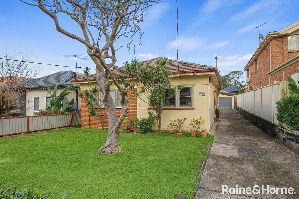 Kingsgrove 3房 509平米平坦地块 宽12.19米临街 北东朝向佳 潜力无限 环形道静谧 First Time Offered in Over 50 Years
