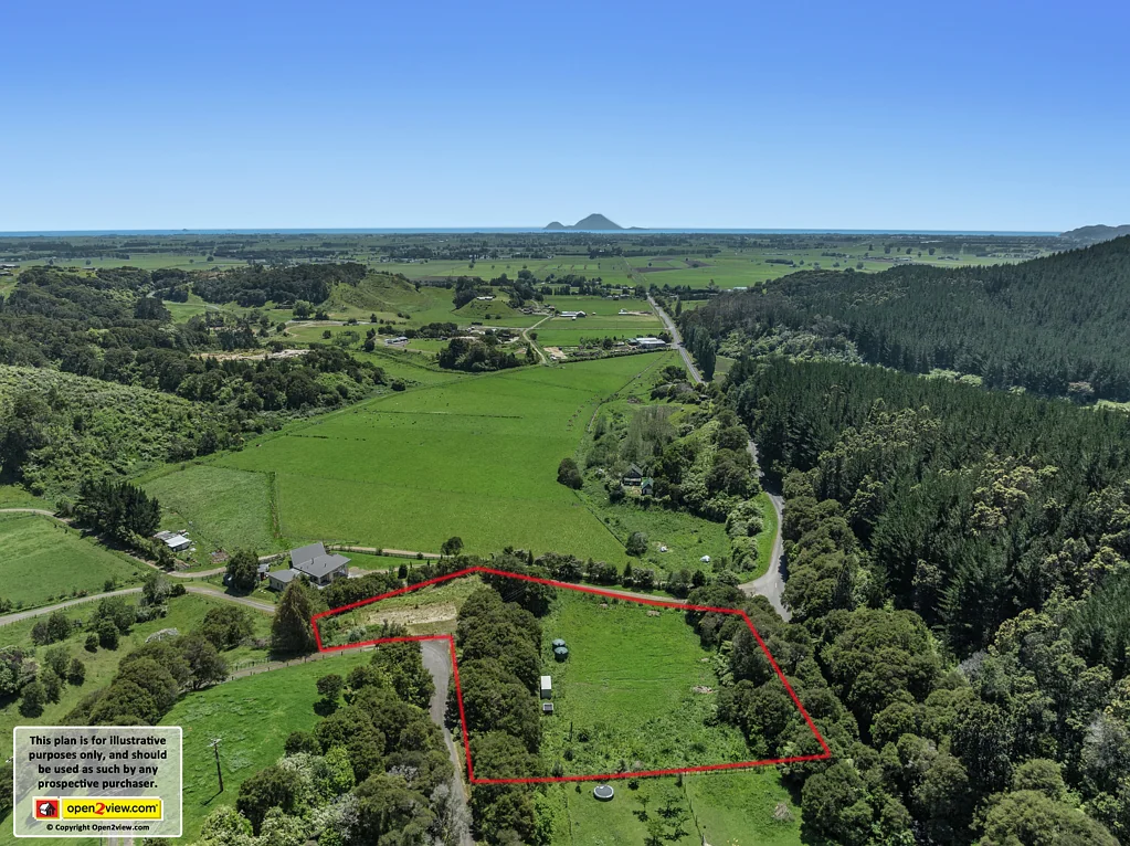 Whakatane The Dream Has Started - Finish It Your Way