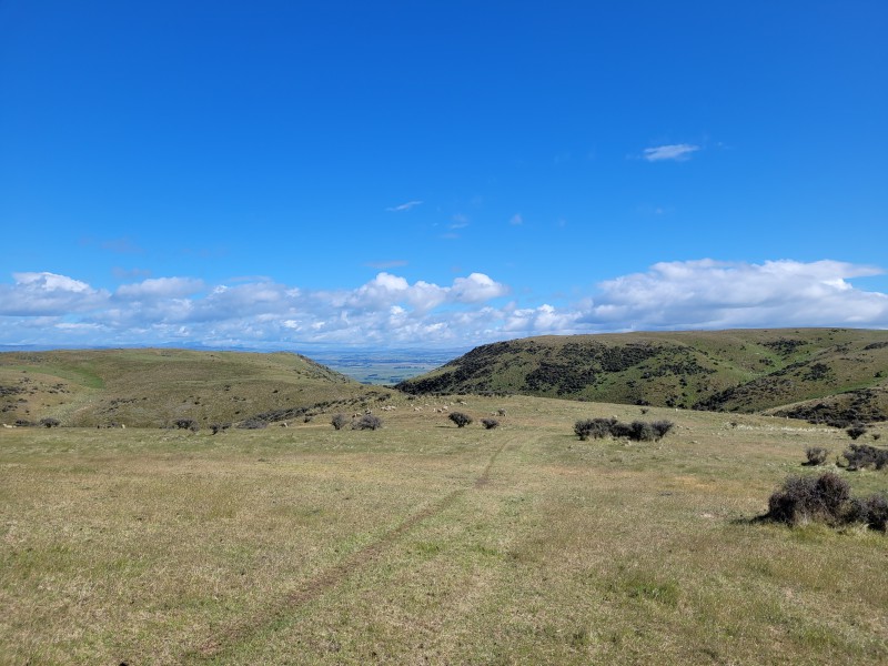 Hamilton Diggings Road, Ranfurly, Otago, 0 Bedrooms, 1 Bathrooms