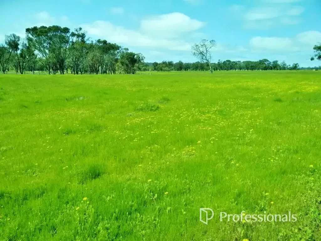 Wandering WANDERING FARM!