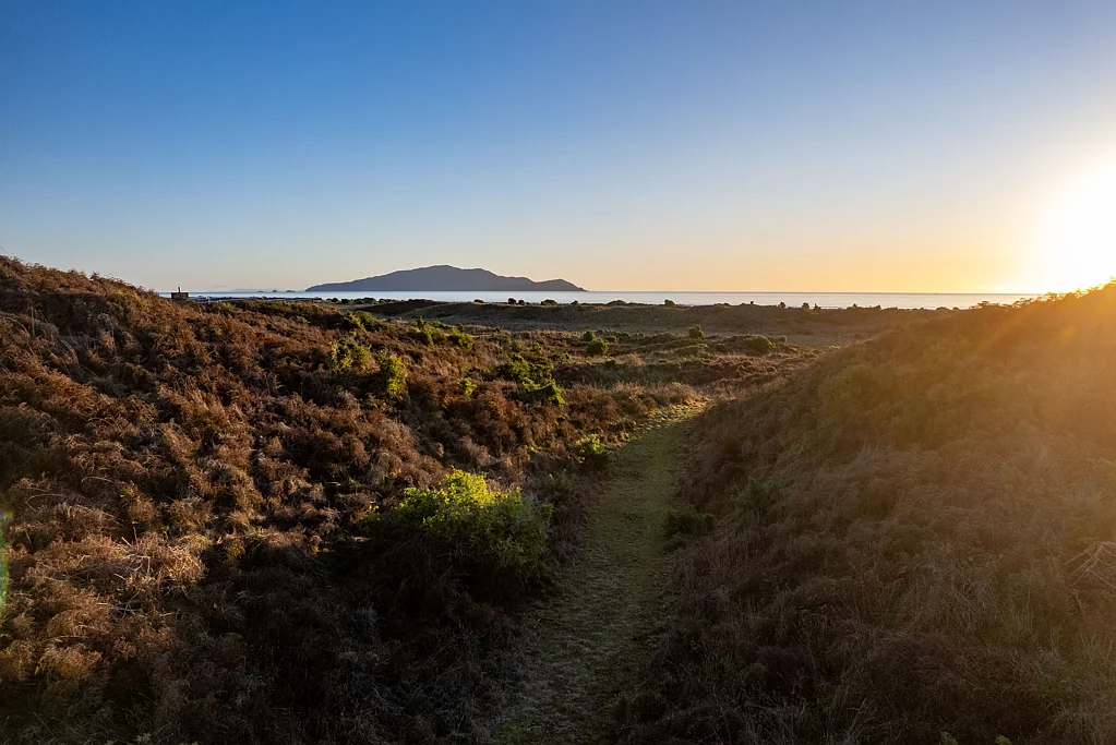 Te Horo Beachfront Dream