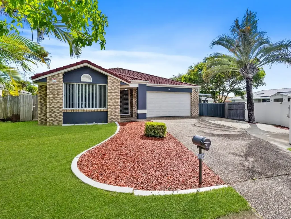 A Fresh Start for the Festive Season!