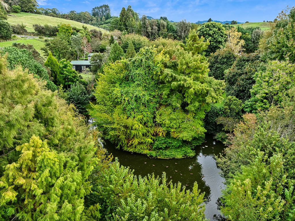 Aongatete Private sanctuary, natural riverside paradise