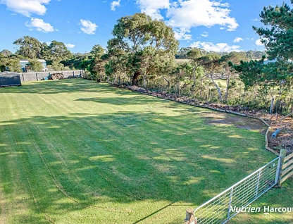 19 Colville Street, Port Albert, VIC 3971, 0 ਕਮਰੇ, 0 ਬਾਥਰੂਮ, Section