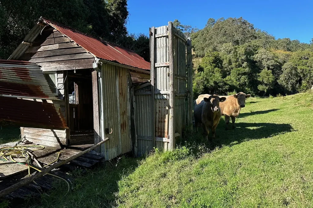 Dungog Tucked Away From It All