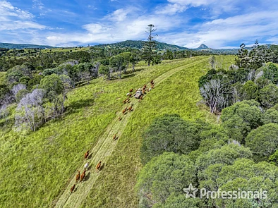247 Maher Road, Coles Creek, QLD 4570, 0房, 0浴, Lifestyle Property