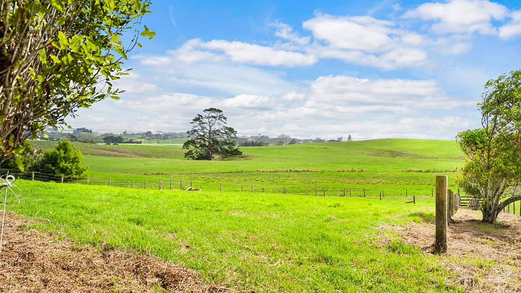 Waiuku From paddock to possibilities