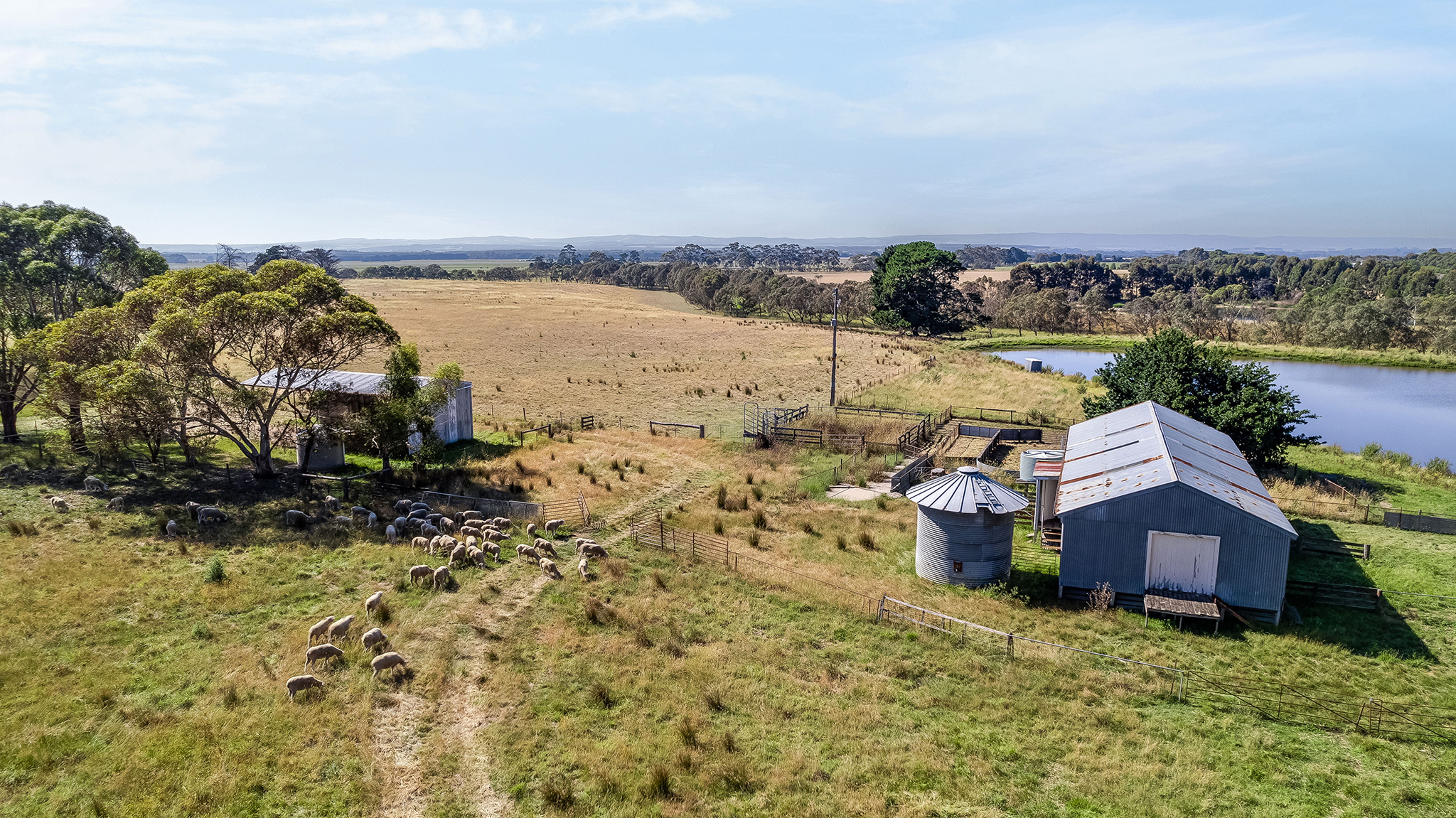 PLAIN BROOK 4515 PRINCES HWY, BIRREGURRA VIC 3242, 0 ਕਮਰੇ, 0 ਬਾਥਰੂਮ, Lifestyle Property