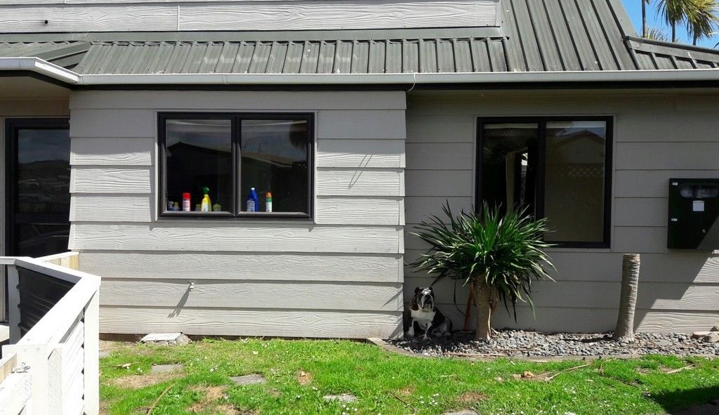 44a Hammond Street, Hairini, Tauranga, 2 Bedrooms, 1 Bathrooms