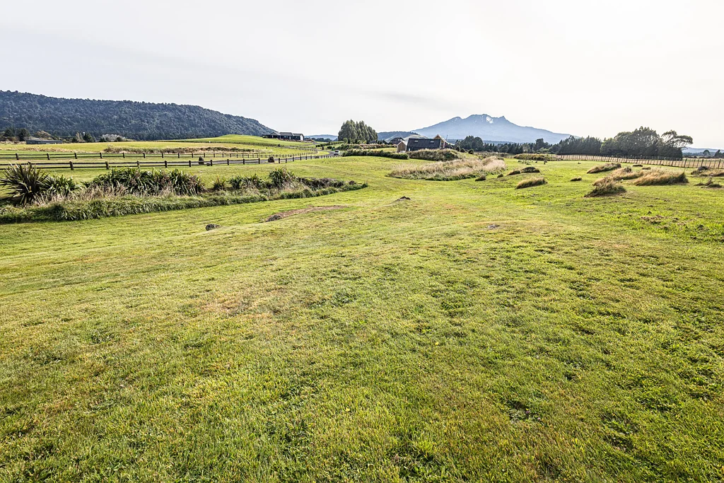 Ohakune Whalefield estate