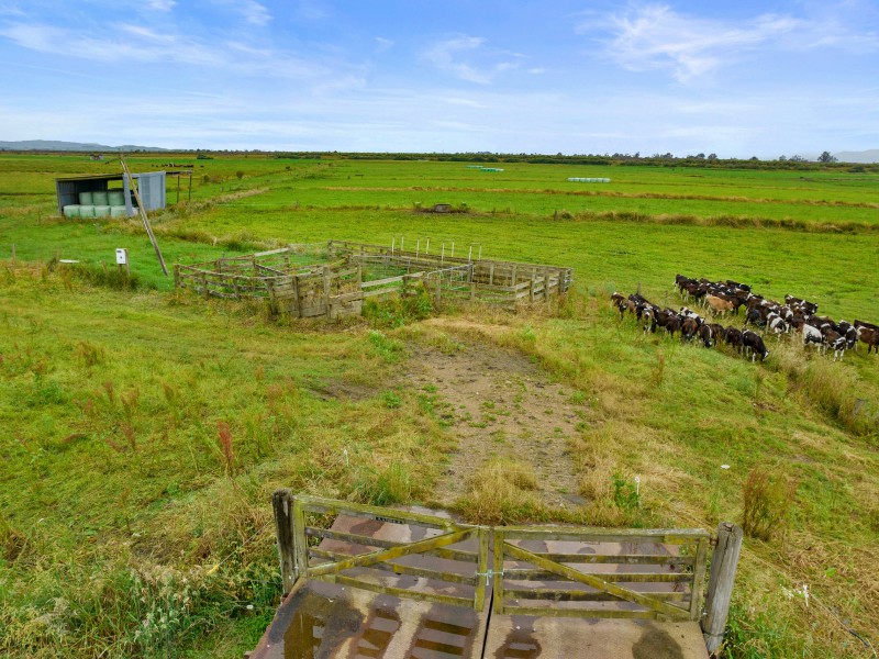 Kaihere Road, Kaihere, Hauraki, 0 Kuwarto, 1 Banyo