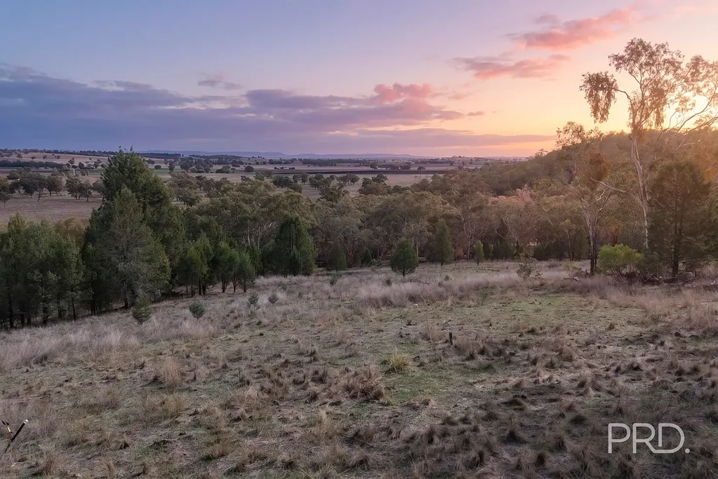 Quirindi 10.9-Acre Country Retreat Close To Quirindi