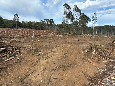 . Calder Road, Calder, TAS 7325, 0 slaapkamers, 0 badkamers, Lifestyle Property