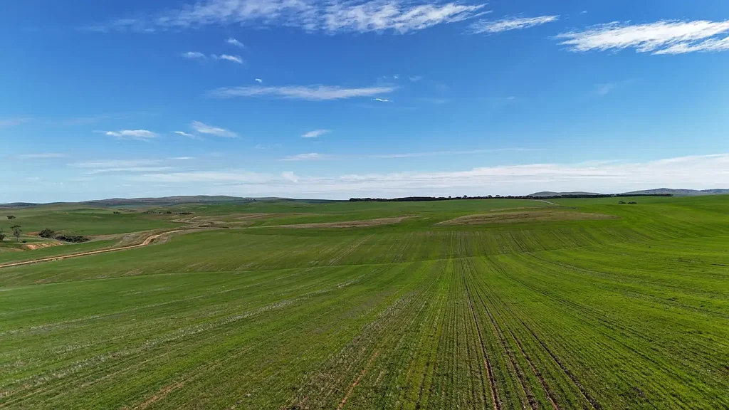 Spalding Quality Hills Cropping Land
