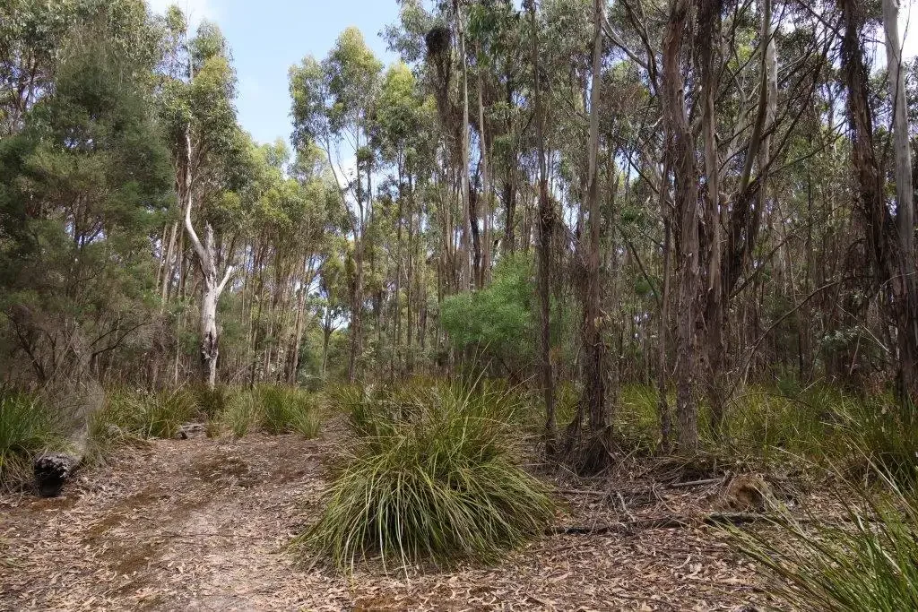 Whitemark Ocean Views - River Frontage - 100 Acres