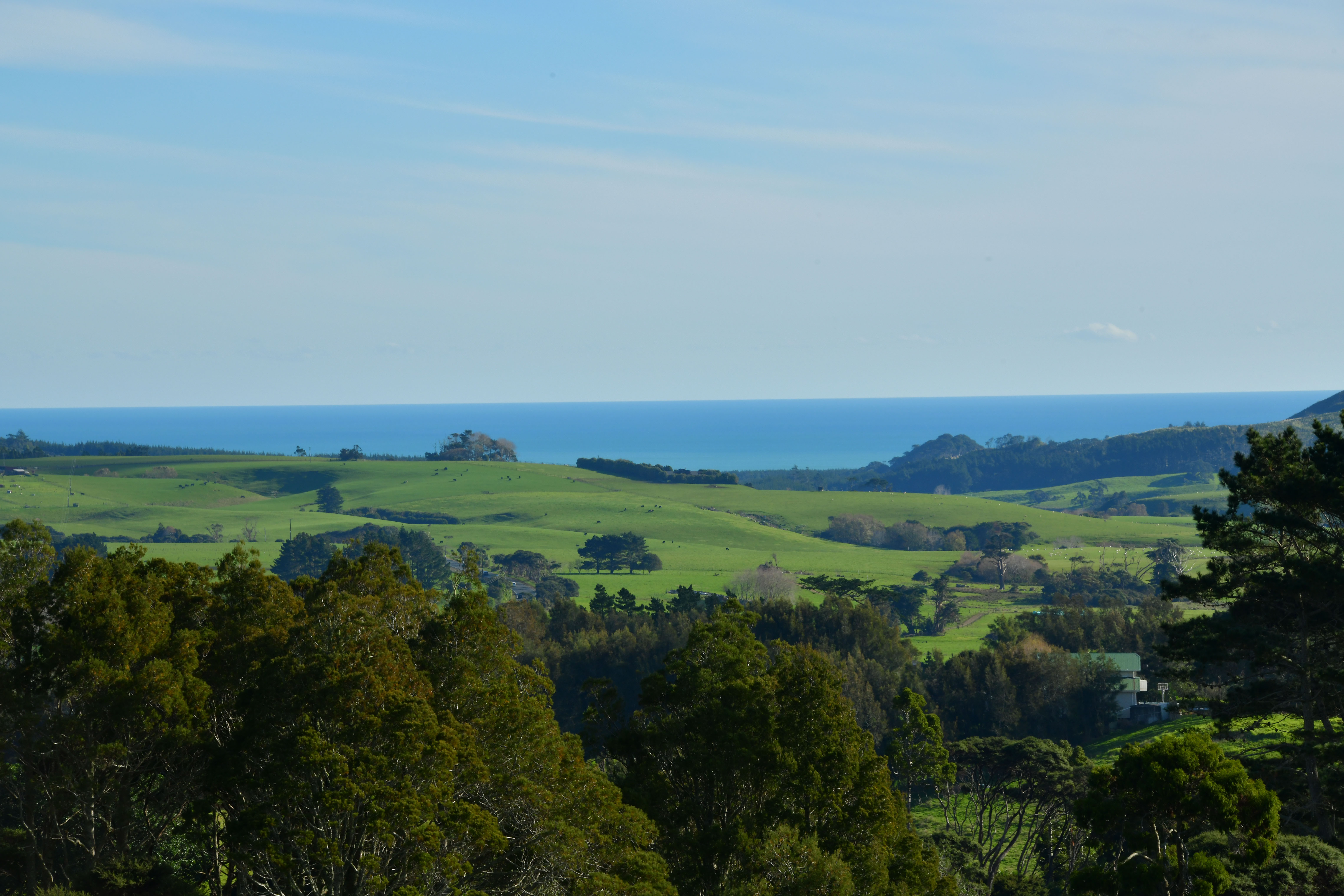 170 Hinau Road, Waimauku, Auckland - Rodney, 0房, 0浴