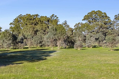 91 Pollards Road, Elphinstone, VIC 3448, 0 slaapkamers, 0 badkamers, Section