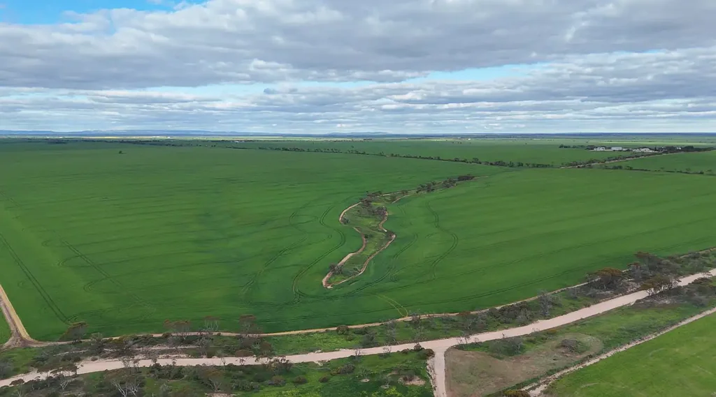Tickera PRODUCTIVE ARABLE LAND