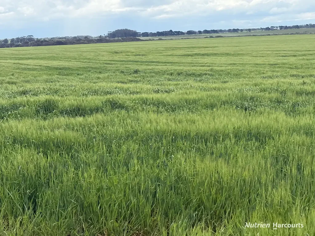 Monjingup 214ha Premium Arable Farmland West of Esperance