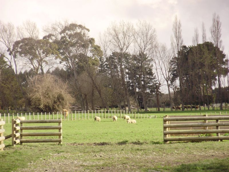 95 Upper Plain Road, Masterton, Masterton, 0房, 0浴