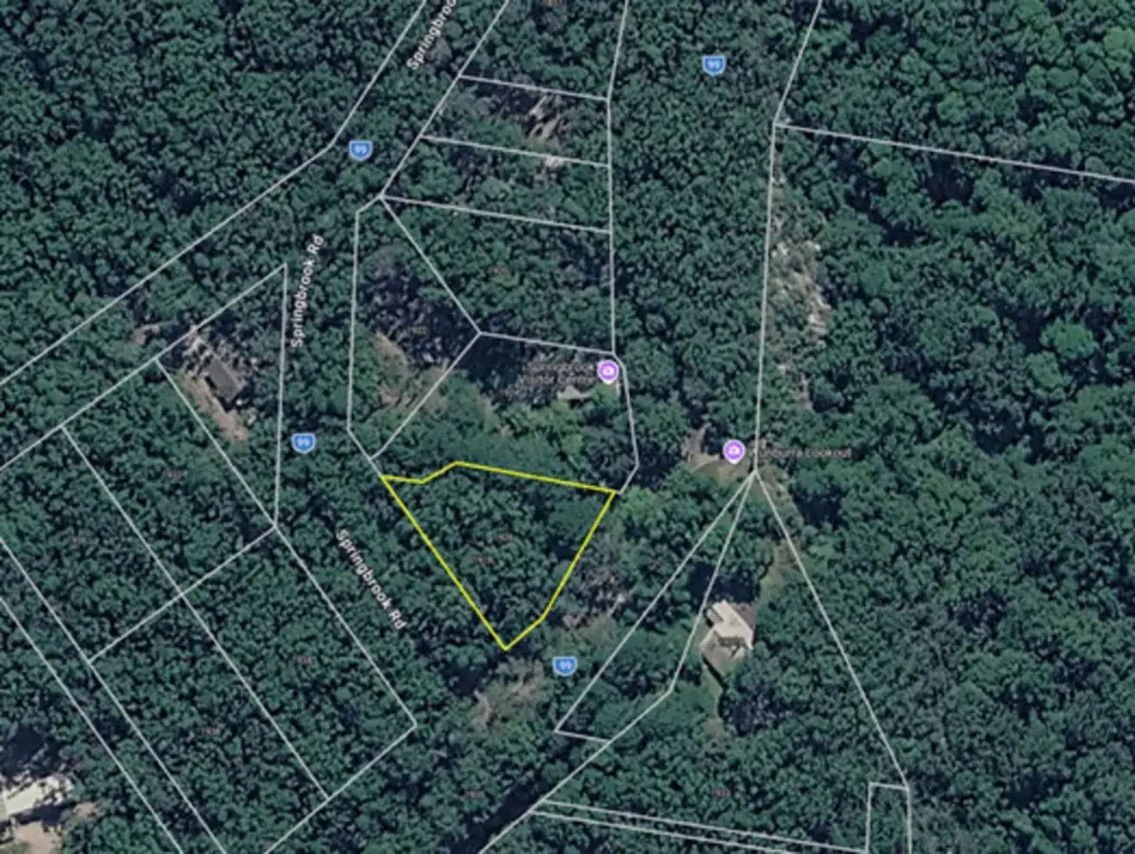 Springbrook  A Scenic Bushland Escape with Endless Potential