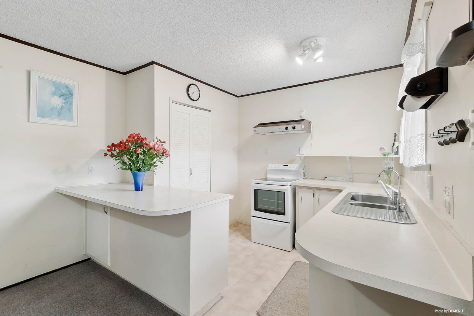 5b Civic Place, Waiuku, Auckland - Franklin, 3 chambres, 0 salles de bain