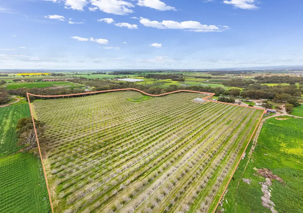 284 Chivell Road, Angle Vale, SA 5117