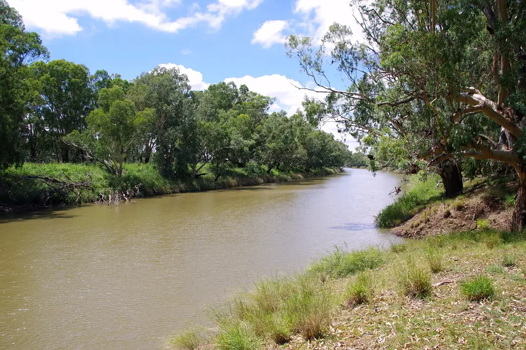 Narrabri Lower Namoi Regulated River Water Auction