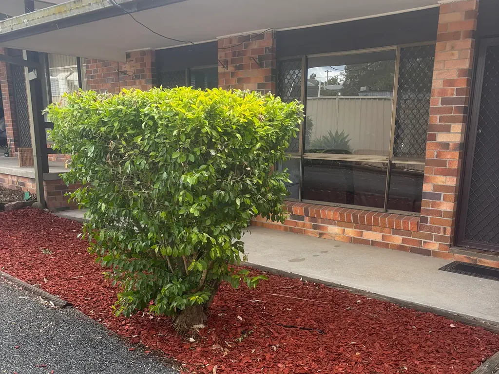 Wingham 2chambre Fully Renovated 2 Bedroom Unit – Quiet Location in  Wingham High rental return