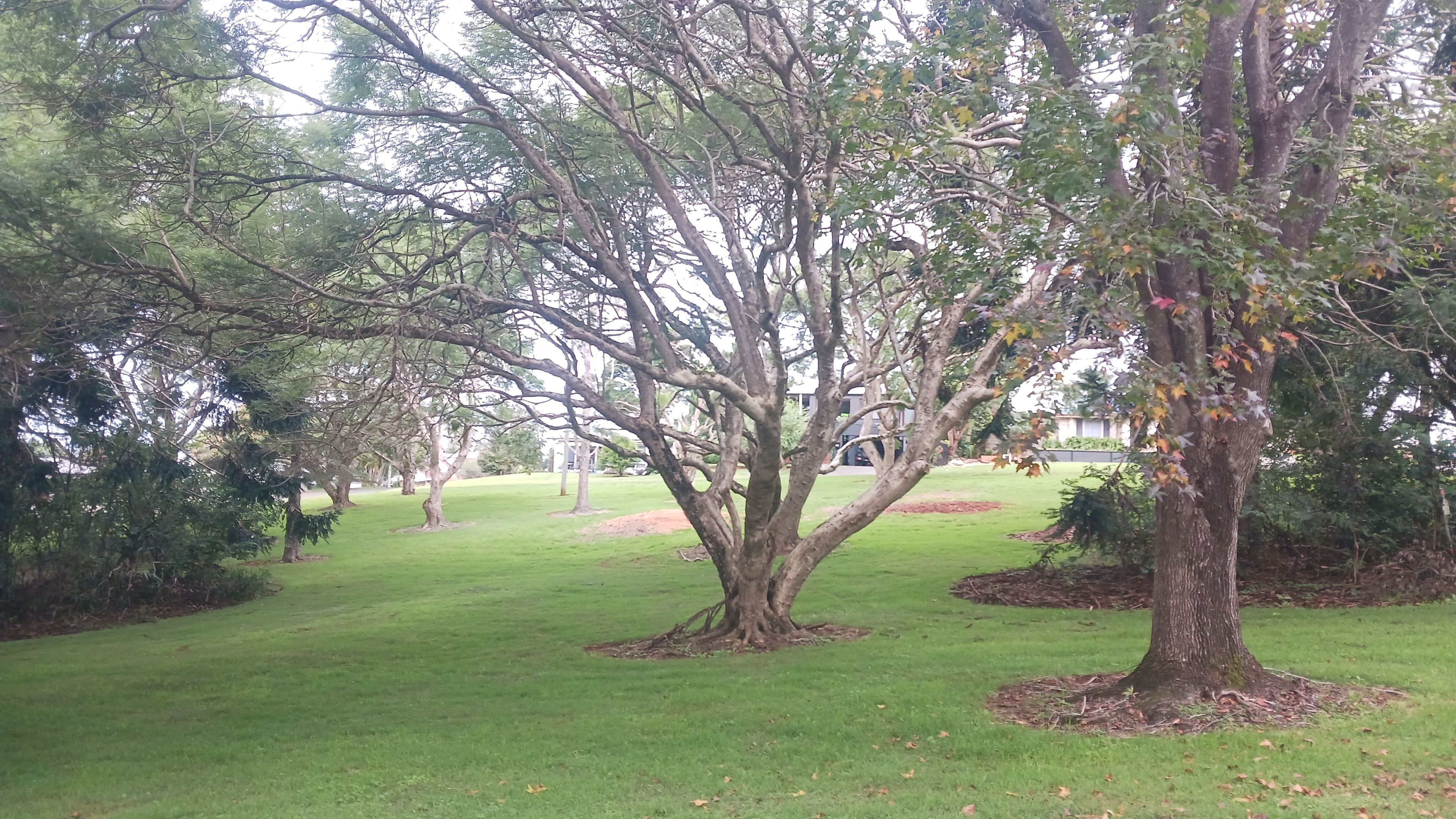 EMERALD LODGE 16-18 GOLFERS CR, TAMBORINE MOUNTAIN QLD 4272, 0 રૂમ, 0 બાથરૂમ, House