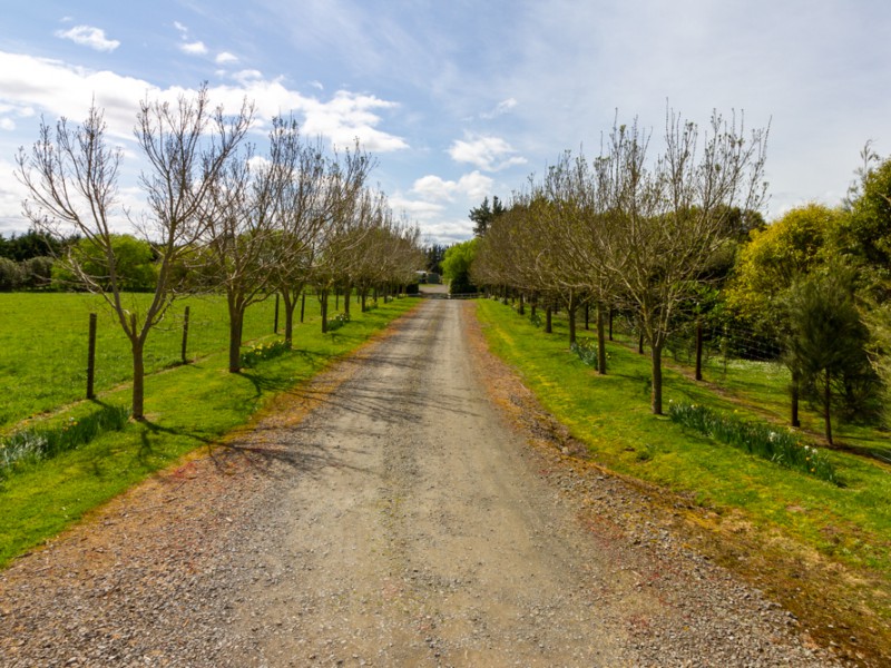 126 Whitmore Road, Linton, Palmerston North, 3 રૂમ, 0 બાથરૂમ