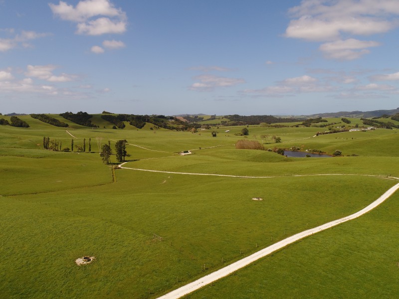 295 Waiteitei Road, Wellsford, Auckland - Rodney, 0房, 0浴