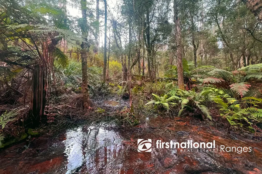 Gembrook 5 ACRES OF GENTLY SLOPING NATURAL BUSHLAND – TRUST FOR NATURE